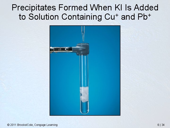 Precipitates Formed When KI Is Added to Solution Containing Cu+ and Pb+ © 2011