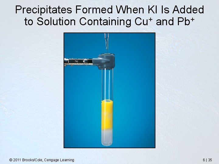 Precipitates Formed When KI Is Added to Solution Containing Cu+ and Pb+ © 2011