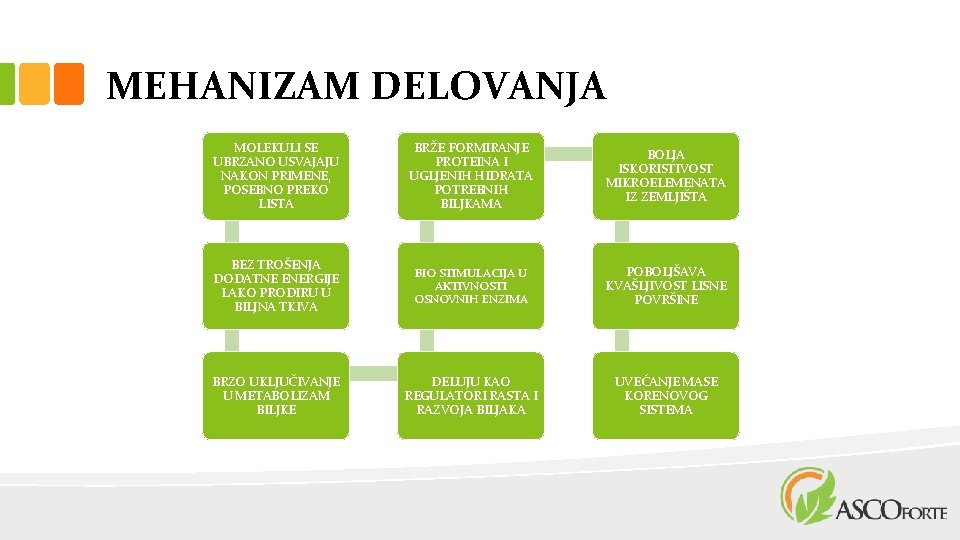 MEHANIZAM DELOVANJA MOLEKULI SE UBRZANO USVAJAJU NAKON PRIMENE, POSEBNO PREKO LISTA BRŽE FORMIRANJE PROTEINA