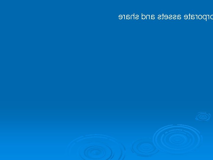 erahs dna stessa etaropr corporation as a asset