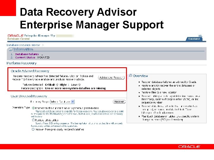 Data Recovery Advisor Enterprise Manager Support 