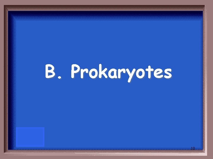 B. Prokaryotes 10 