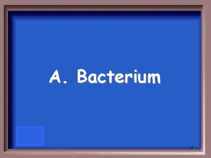 A. Bacterium 14 