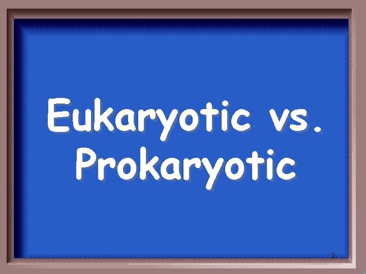 Eukaryotic vs. Prokaryotic 2 