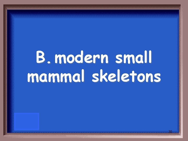 B. modern small mammal skeletons 30 B. modern small mammal skeletons 30