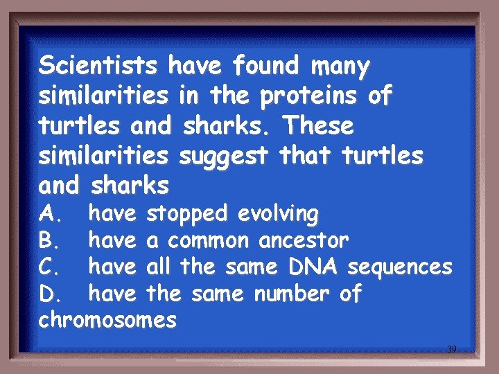 Scientists have found many similarities in the proteins of turtles and sharks. These similarities