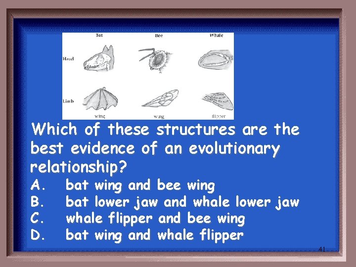 Which of these structures are the best evidence of an evolutionary relationship? A. B.