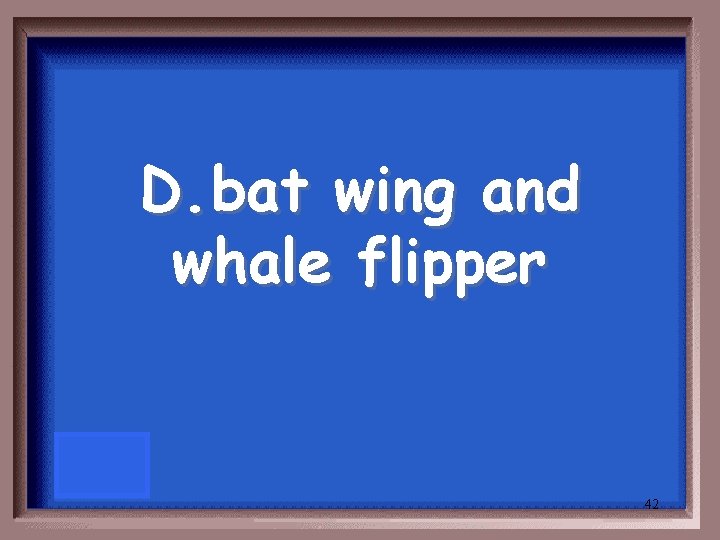 D. bat wing and whale flipper 42 