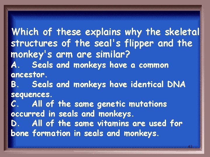 Which of these explains why the skeletal structures of the seal's flipper and the