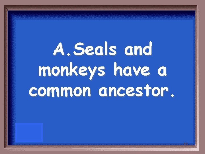 A. Seals and monkeys have a common ancestor. 44 A. Seals and monkeys have a common ancestor. 44