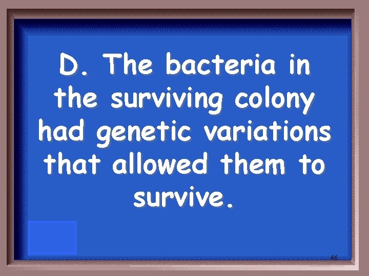D. The bacteria in the surviving colony had genetic variations that allowed them to