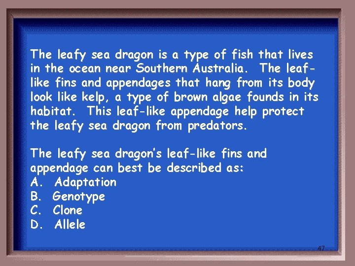 The leafy sea dragon is a type of fish that lives in the ocean