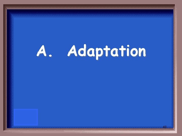 A. Adaptation 48 