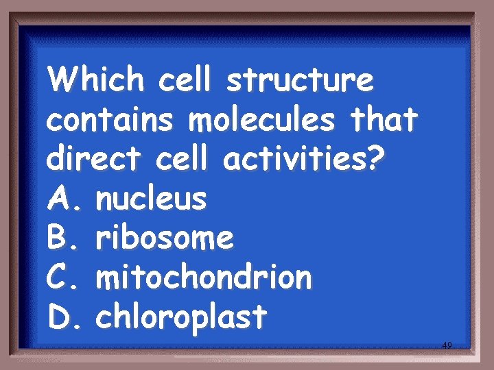 Which cell structure contains molecules that direct cell activities? A. nucleus B. ribosome C.