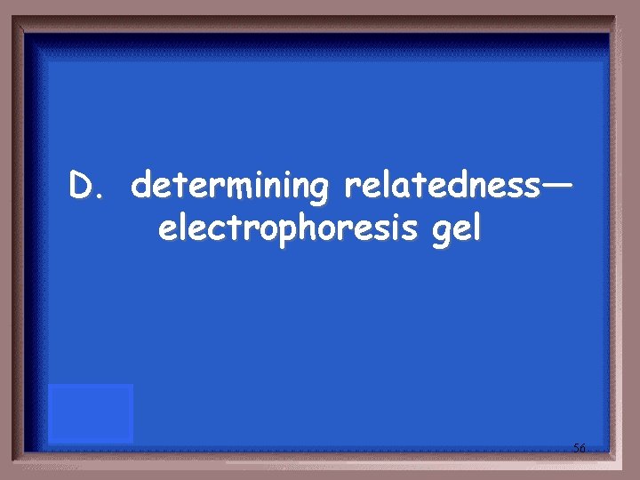 D. determining relatedness— electrophoresis gel 56 D. determining relatedness— electrophoresis gel 56