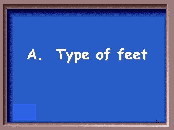 A. Type of feet 58 