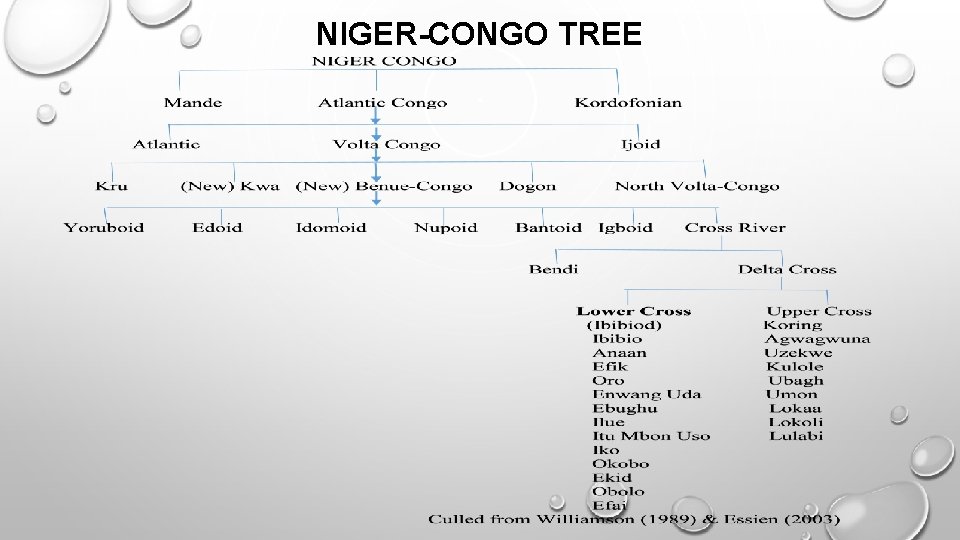 NIGER-CONGO TREE 