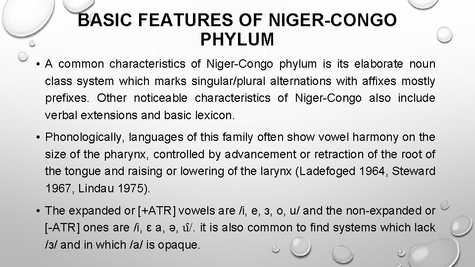 BASIC FEATURES OF NIGER-CONGO PHYLUM • A common characteristics of Niger-Congo phylum is its