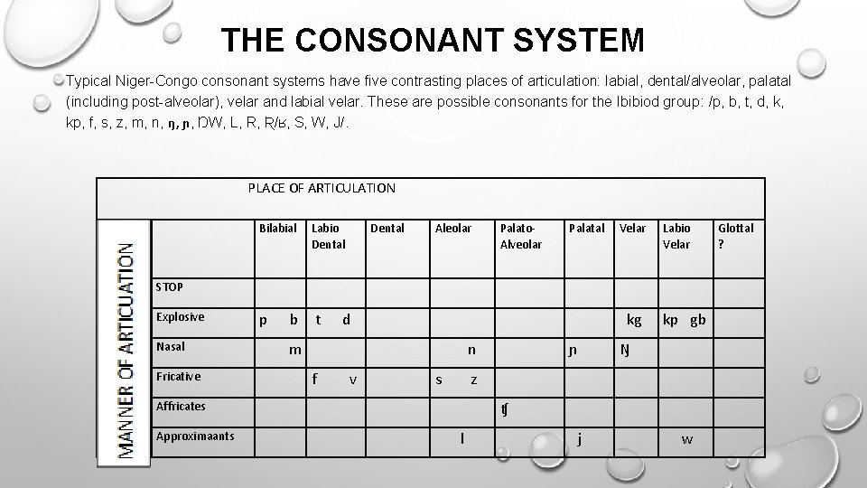 THE CONSONANT SYSTEM Typical Niger-Congo consonant systems have five contrasting places of articulation: labial,