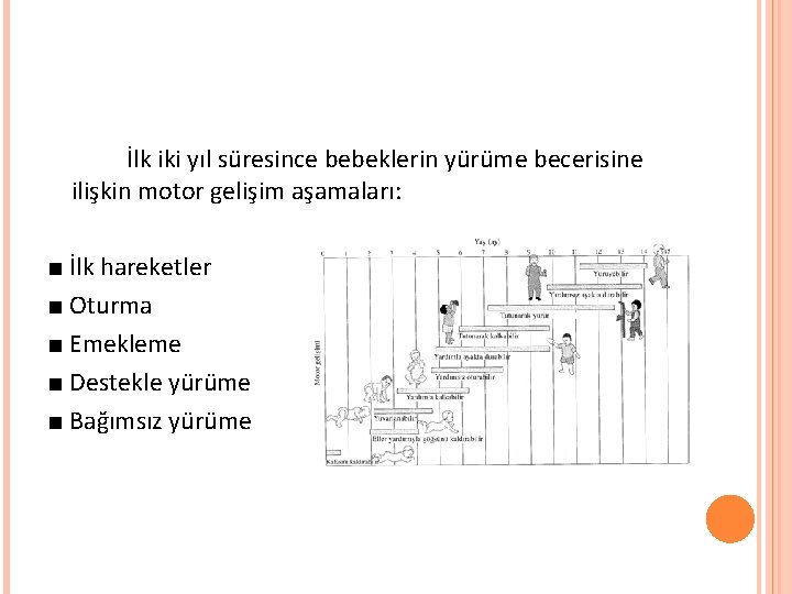 İlk iki yıl süresince bebeklerin yürüme becerisine ilişkin motor gelişim aşamaları: ■ İlk hareketler