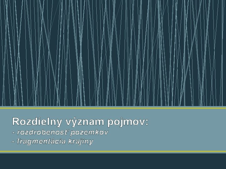 Rozdielny význam pojmov: - rozdrobenosť pozemkov - fragmentácia krajiny 