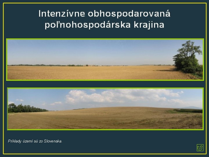 Intenzívne obhospodarovaná poľnohospodárska krajina Príklady území sú zo Slovenska. 