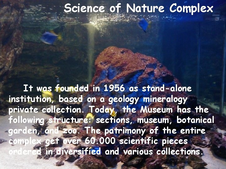 Science of Nature Complex It was founded in 1956 as stand-alone institution, based on