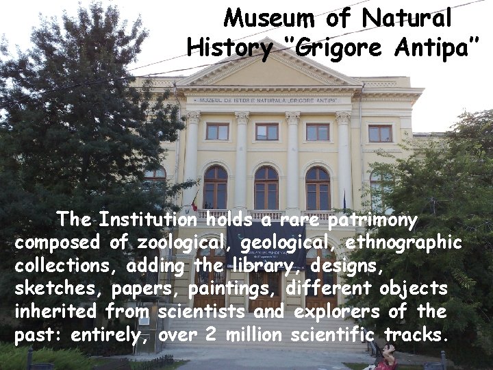 Museum of Natural History ‘’Grigore Antipa’’ The Institution holds a rare patrimony composed of