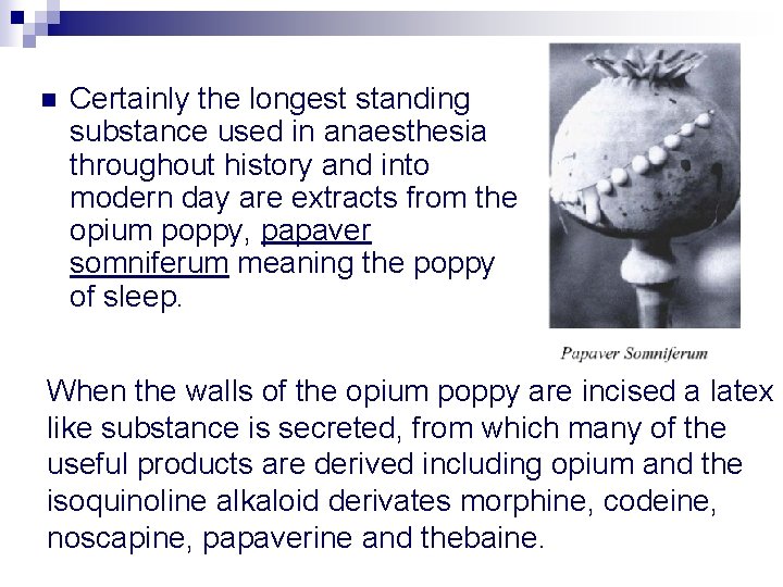 n Certainly the longest standing substance used in anaesthesia throughout history and into modern
