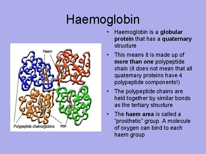 Haemoglobin • Haemoglobin is a globular protein that has a quaternary structure • This
