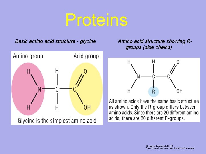 Proteins Basic amino acid structure - glycine Amino acid structure showing Rgroups (side chains)