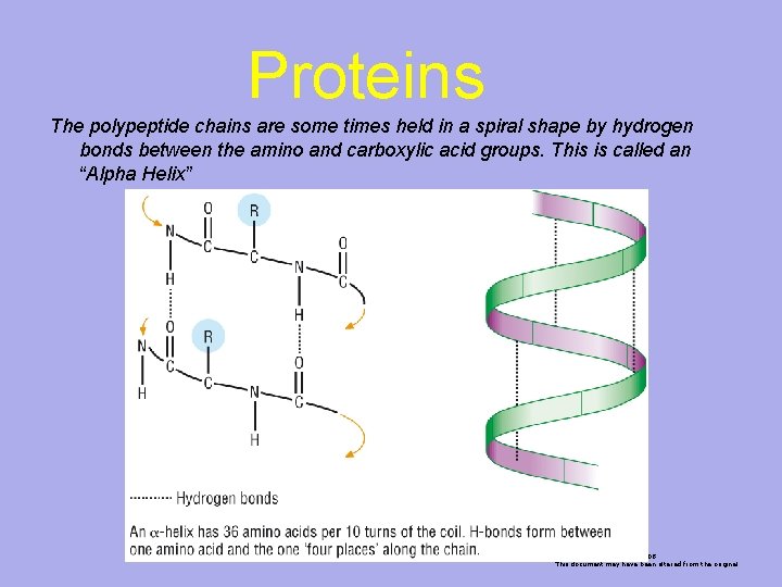 Proteins The polypeptide chains are some times held in a spiral shape by hydrogen