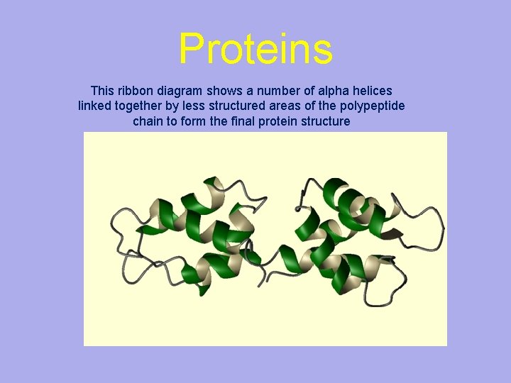 Proteins This ribbon diagram shows a number of alpha helices linked together by less