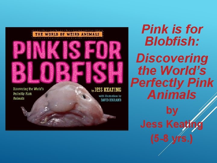 Pink is for Blobfish: Discovering the World’s Perfectly Pink Animals by Jess Keating (5