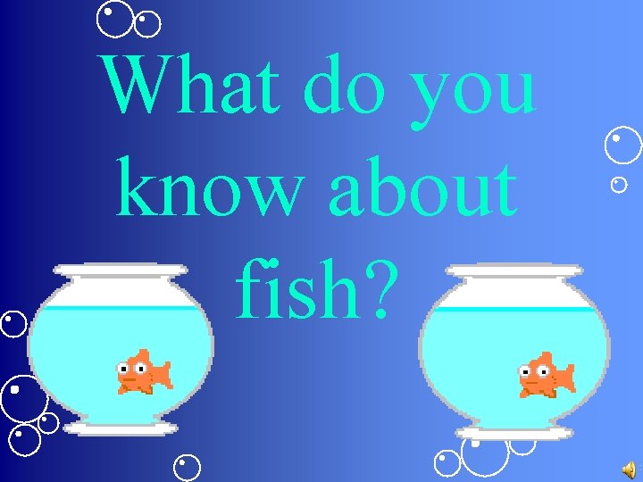 What do you know about fish? 