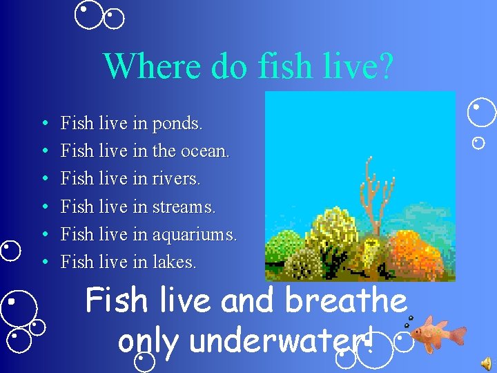 Where do fish live? • • • Fish live in ponds. Fish live in