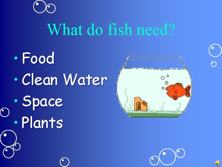 What do fish need? • Food • Clean Water • Space • Plants 