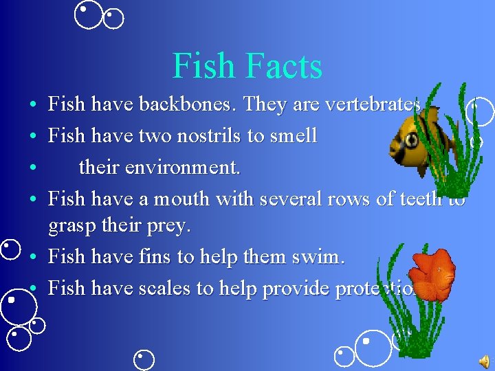 Fish Facts • • Fish have backbones. They are vertebrates. Fish have two nostrils