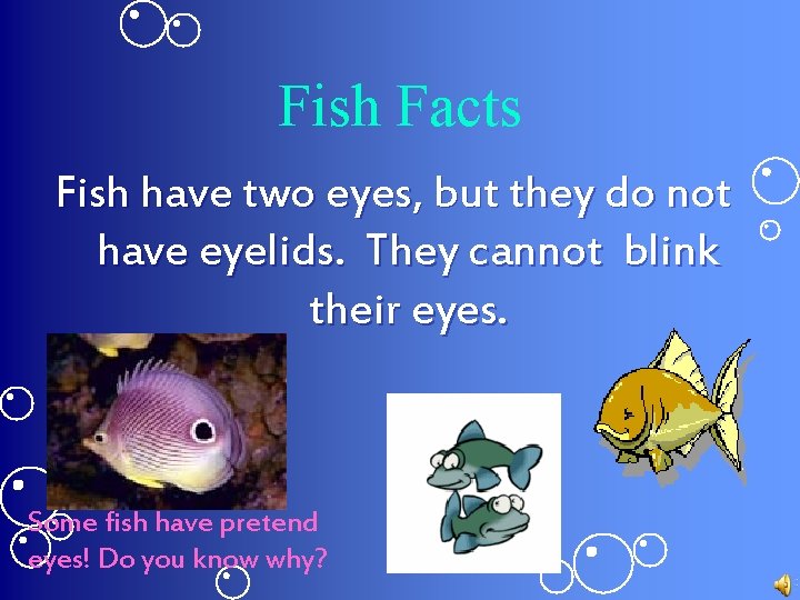 Fish Facts Fish have two eyes, but they do not have eyelids. They cannot