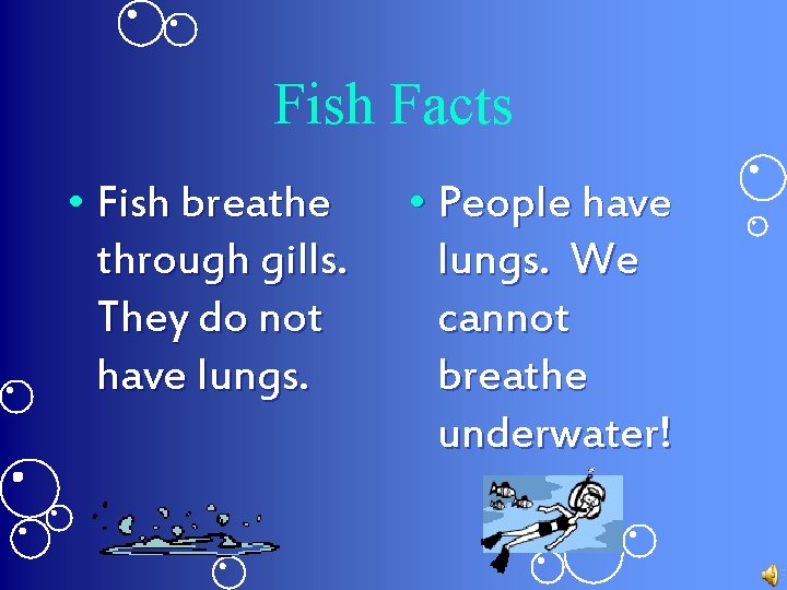 Fish Facts • Fish breathe through gills. They do not have lungs. • People