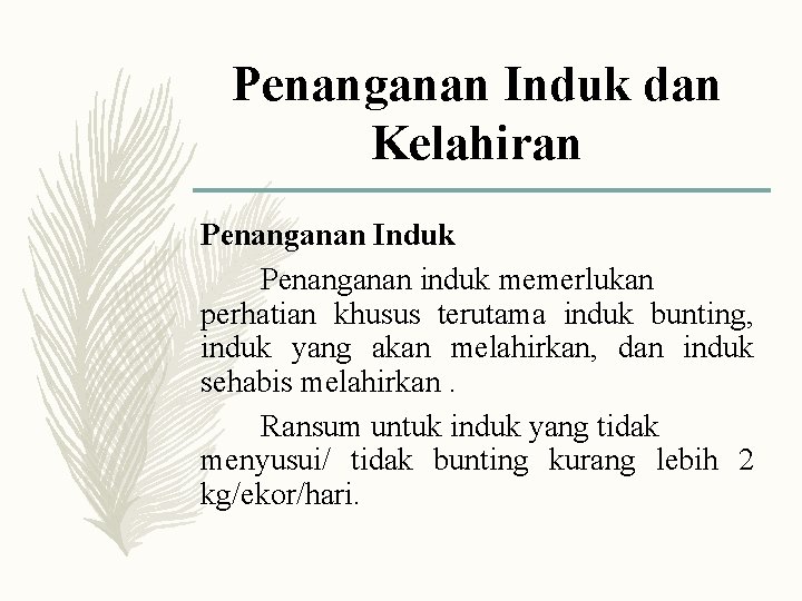 Penanganan Induk dan Kelahiran Penanganan Induk Penanganan induk memerlukan perhatian khusus terutama induk bunting,