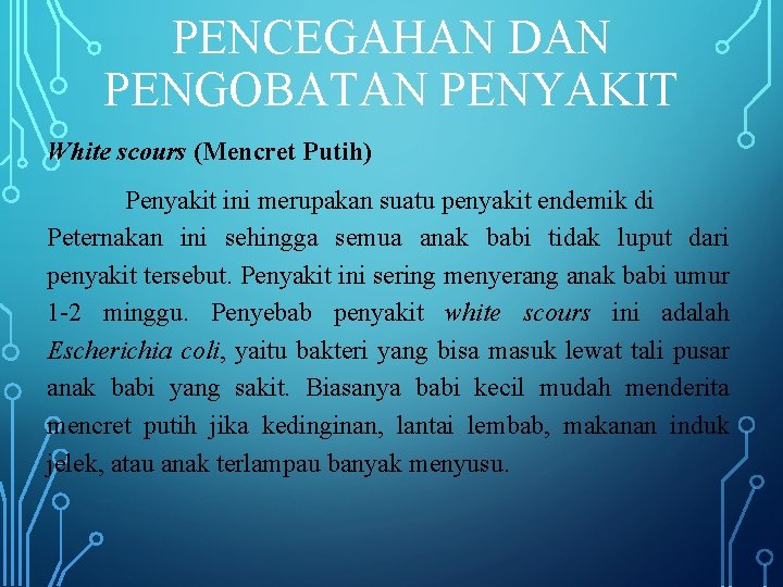 PENCEGAHAN DAN PENGOBATAN PENYAKIT White scours (Mencret Putih) Penyakit ini merupakan suatu penyakit endemik