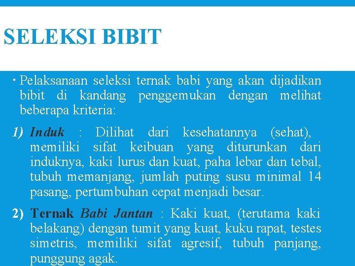 SELEKSI BIBIT Pelaksanaan seleksi ternak babi yang akan dijadikan bibit di kandang penggemukan dengan