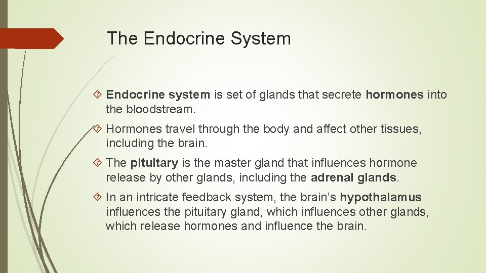 The Endocrine System Endocrine system is set of glands that secrete hormones into the