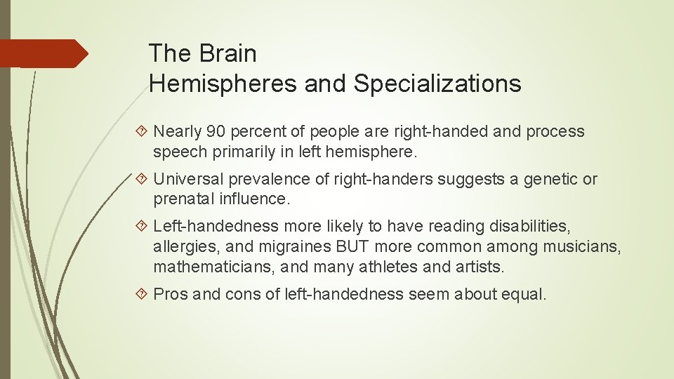 The Brain Hemispheres and Specializations Nearly 90 percent of people are right-handed and process