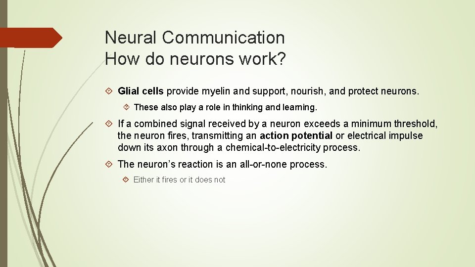 Neural Communication How do neurons work? Glial cells provide myelin and support, nourish, and
