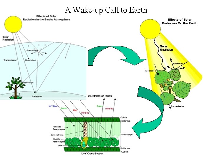 A Wake-up Call to Earth 