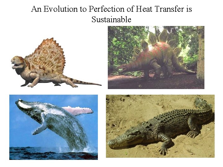 An Evolution to Perfection of Heat Transfer is Sustainable 
