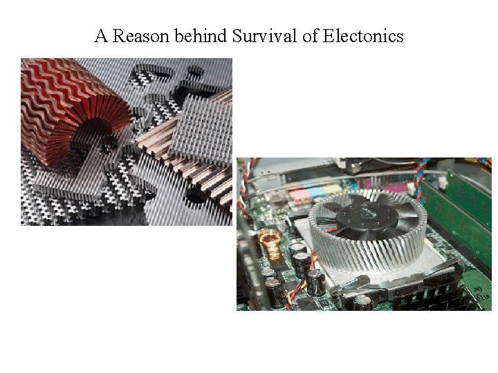 A Reason behind Survival of Electonics 