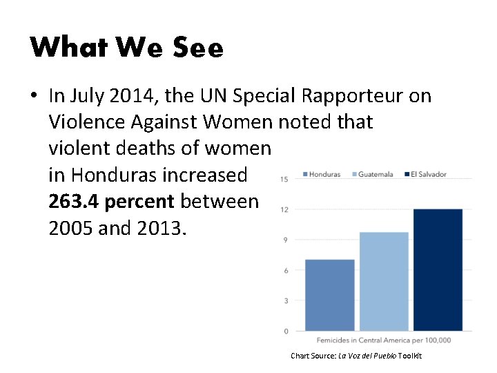 What We See • In July 2014, the UN Special Rapporteur on Violence Against